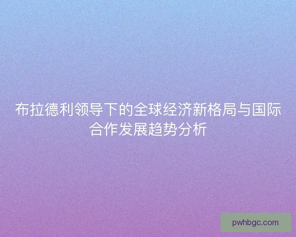 布拉德利领导下的全球经济新格局与国际合作发展趋势分析