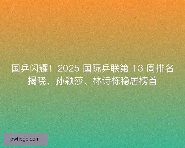 国乒闪耀！2025 国际乒联第 13 周排名揭晓，孙颖莎、林诗栋稳居榜首