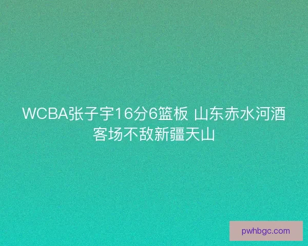 WCBA张子宇16分6篮板 山东赤水河酒客场不敌新疆天山