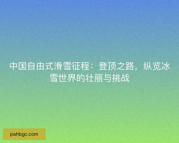 中国自由式滑雪征程：登顶之路，纵览冰雪世界的壮丽与挑战