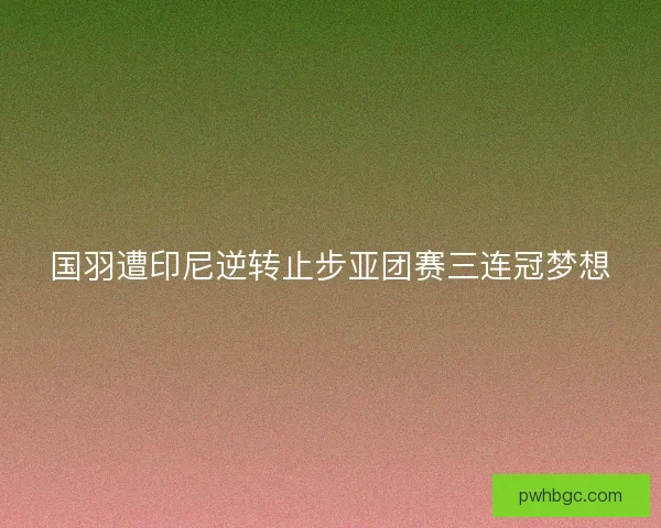 国羽遭印尼逆转止步亚团赛三连冠梦想